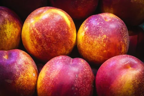 苹果,桃子,桃,油桃,三华李,水果 苹果,桃子,桃,油桃,三华李,水果