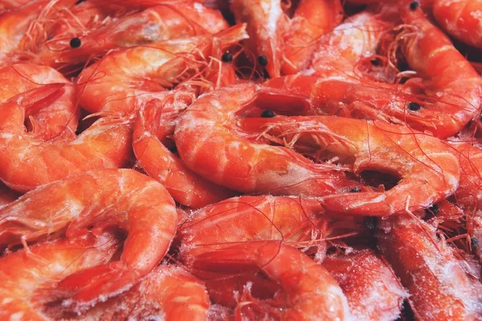 食品，虾，虾，海鲜，虾，虾