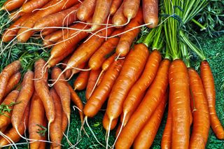 胡萝卜，健康食品，健康，蔬菜，蔬菜