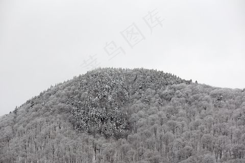 气候，云，环境，探索，雾，森林，徒步旅行，山，性质，户外，树木，天气