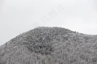 气候，云，环境，探索，雾，森林，徒步旅行，山，性质，户外，树木，天气