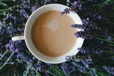 花,花,健康,茶 花,花,健康,茶