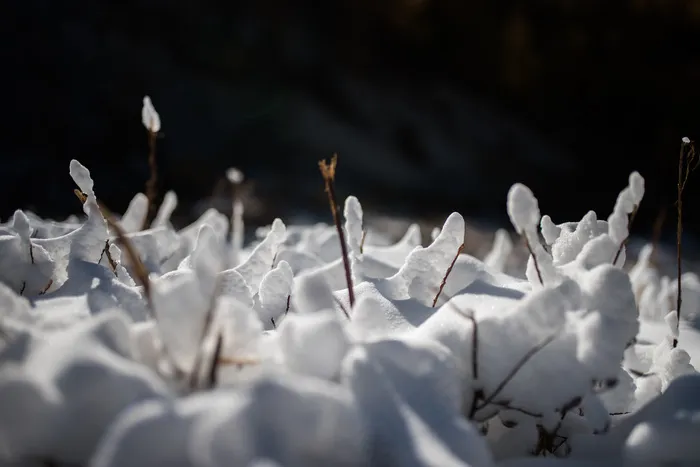阿尔卑斯山，冷，山，雪，冬季