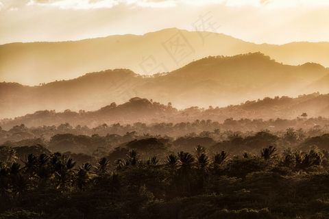 农村，森林，渐变，图层，山，性质，户外，棕榈树，风景，阳光，树木，热带，视图