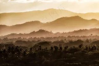 农村，森林，渐变，图层，山，性质，户外，棕榈树，风景，阳光，树木，热带，视图
