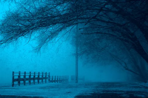 晚上，雪，冬天