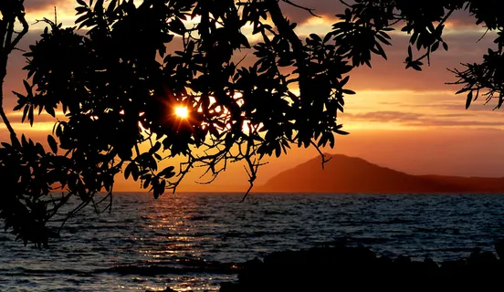美丽,云,海岸,叶子,山,海洋,风景,海岸,剪影,剪影,天空,阳光,日落,树木,水 美丽,云,海岸,叶子,山,海洋,风景,海岸,剪影,剪影,天空,阳光,日落,树木,水