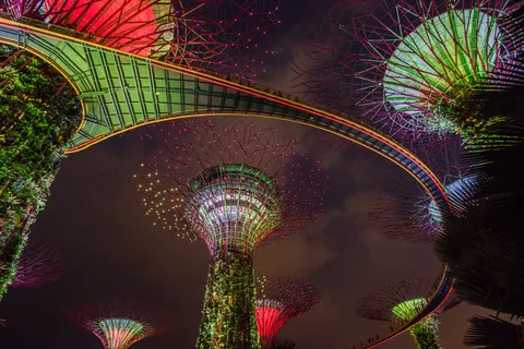 城市,灯,新加坡滨海湾花园,晚上,天空,摩天大楼 城市,灯,新加坡滨海湾花园,晚上,天空,摩天大楼