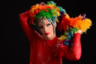 人物活动,小丑,玩具,花卉,工艺品,同性恋者