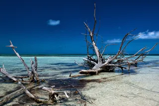 海滩，海岸，假日，海洋，天空，夏季，度假