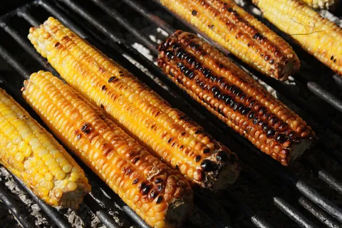 烧烤,烧烤,烧烤,烹饪,烧烤,烧烤 烧烤,烧烤,烧烤,烹饪,烧烤,烧烤