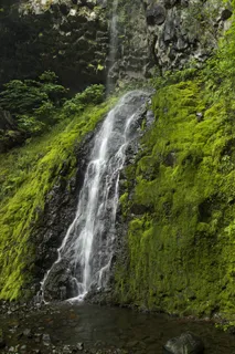 背景,悬崖,流动,森林,绿色,高清壁纸,景观,山,窄,自然,户外,流,水,瀑布 背景,悬崖,流动,森林,绿色,高清壁纸,景观,山,窄,自然,户外,流,水,瀑布