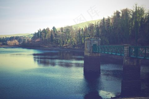 蓝色，Cc0，都柏林，绿色，高分辨率，爱尔兰，反射，股票照片，树木，水