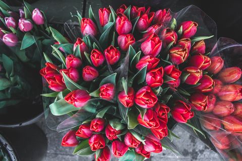 花，花，爱，华伦泰