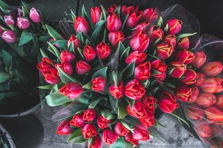 花，花，爱，华伦泰