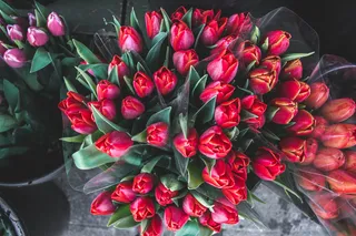 花，花，爱，华伦泰