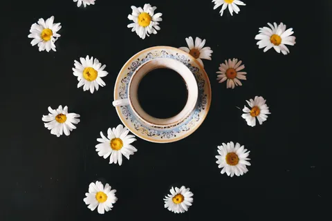 咖啡,饮料,饮料,花,花,开销,茶 咖啡,饮料,饮料,花,花,开销,茶
