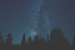 银河系，银河系，夜，行星，剪影，空间，星星，树，美国