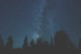 银河系，银河系，夜，行星，剪影，空间，星星，树，美国