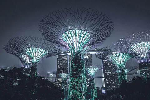 游乐场,吸顶灯,电风扇,盆栽植物,灯,晚 游乐场,吸顶灯,电风扇,盆栽植物,灯,晚