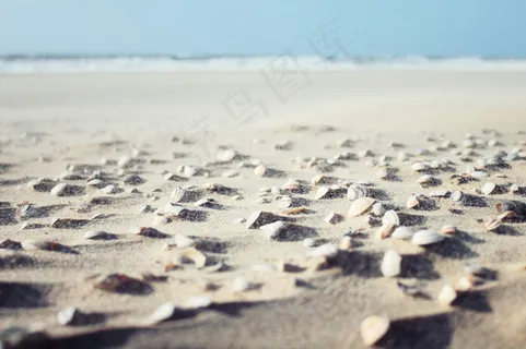 海滩,海岸,海洋,沙,海,夏季 海滩,海岸,海洋,沙,海,夏季