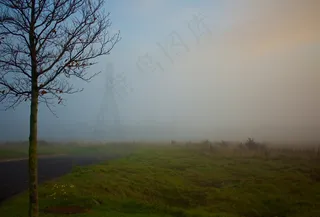 秋季，Cc0，字段，雾，森林，高分辨率，公园，股票照片，树，木