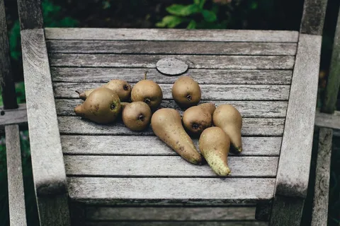 食品，水果，水果，花园，户外，室外，梨，梨