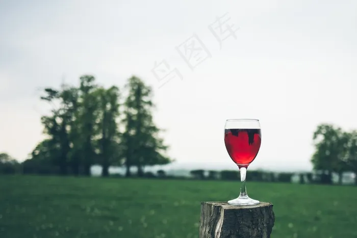 酒精，饮料，饮料，酒，酒