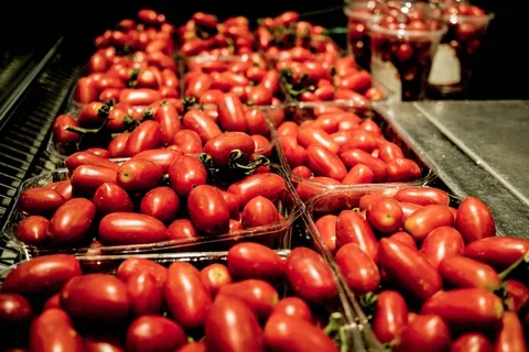 食品,西红柿,西红柿,蔬菜,蔬菜 食品,西红柿,西红柿,蔬菜,蔬菜