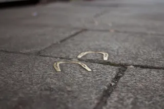 散景，Cc0，都柏林，焦点，坚韧不拔，高分辨率，爱尔兰，爱尔兰，股票照片