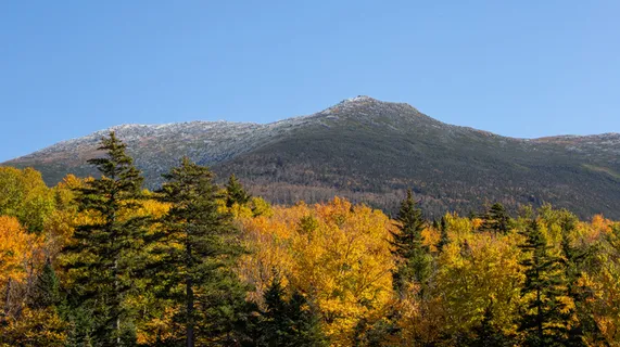 秋季,颜色,多彩,秋天,树叶,森林,叶子,山,性质,橙色,户外,风景,天空,树木 秋季,颜色,多彩,秋天,树叶,森林,叶子,山,性质,橙色,户外,风景,天空,树木