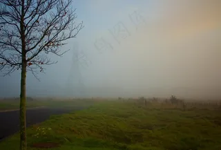 Cc0，电动，绿色，高分辨率，雾，股票照片，树