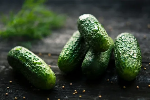 黄瓜,黄瓜,食品,小黄瓜,小黄瓜,腌制,腌制,蔬菜 黄瓜,黄瓜,食品,小黄瓜,小黄瓜,腌制,腌制,蔬菜