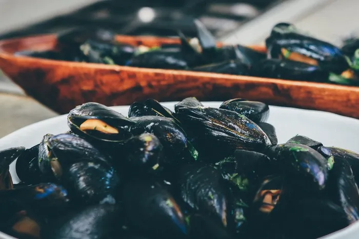 食品，贻贝，海鲜
