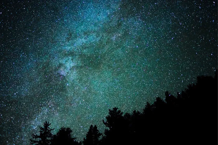夜，天空，野生，冬季