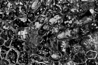 工笔画,卡通动漫人物,图画,人脸,铁屑,壁