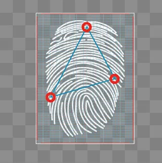 白色指纹,免抠元素