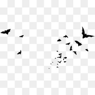 黑色飞翔蝙蝠,免抠元素