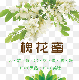 槐花蜜设计,免抠元素