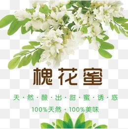 槐花蜜设计,免抠元素