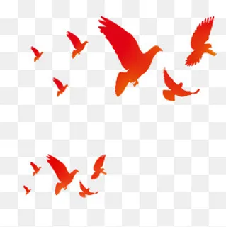 国庆节放飞鸽子元素,免抠元素