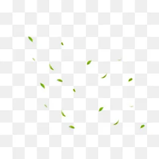 绿色茶叶树叶漂浮素材,免抠元素