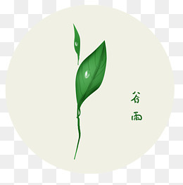 谷雨 手绘植物雨珠,免抠元素(3508*3524px)psd模版下载