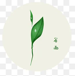 谷雨 手绘植物雨珠,免抠元素(3508*3524px)psd模版下载
