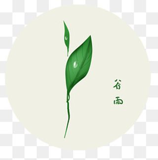 谷雨 手绘植物雨珠,免抠元素