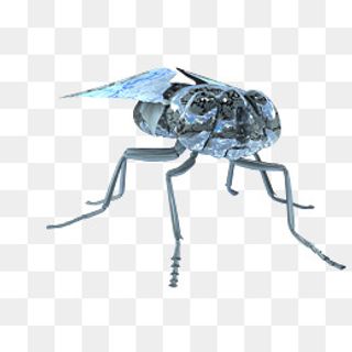 金属光泽精美动物苍蝇摆件,免抠元素