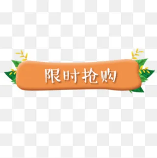 黄色简约天猫限时抢购促销标签