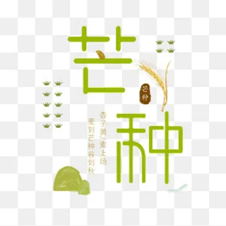 24节气芒种的字体手绘图,免抠元素