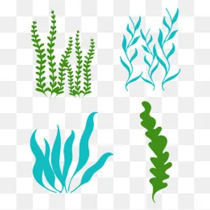 卡通矢量海底水草海底世界,免抠元素