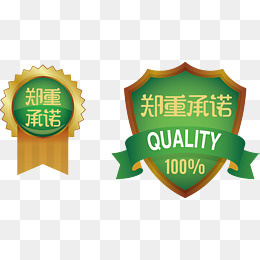 绿色金属质感郑重承诺矢量图,免抠元素